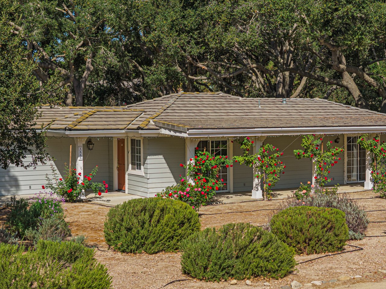 Single-story gray house with red flowering vines along the porch and shrubs in the front yard.