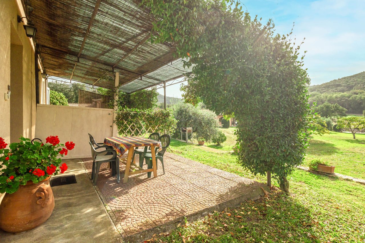 Organic Agriturismo in Roccastrada