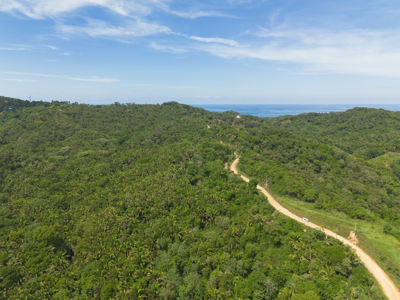 Ex-Canopy French Harbour, 59 acres