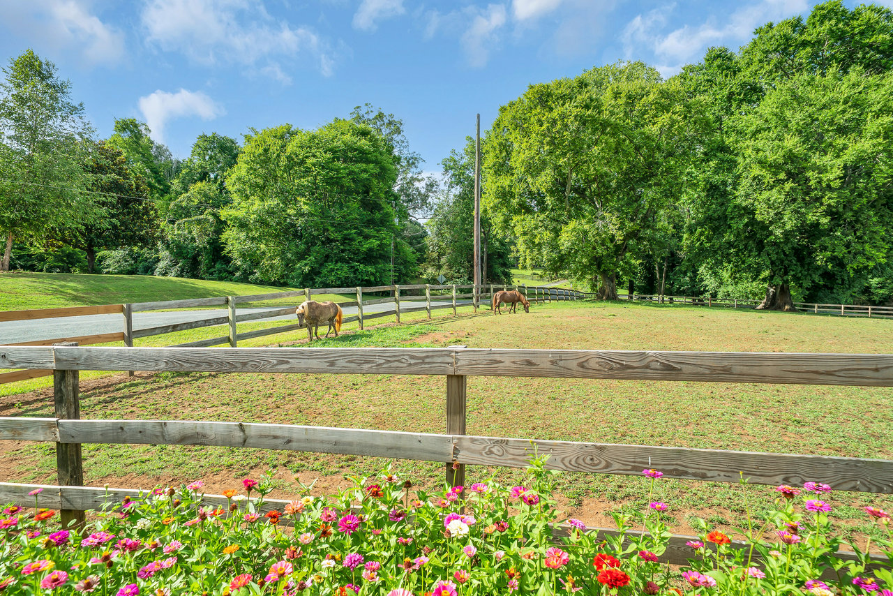 Equestrian Estate Opportunity