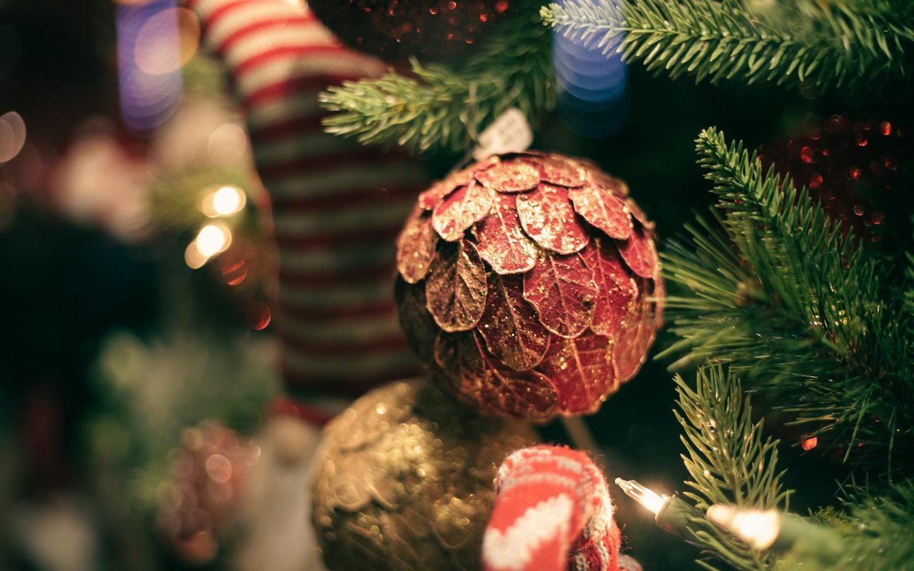 Holiday Lights in the East Bay