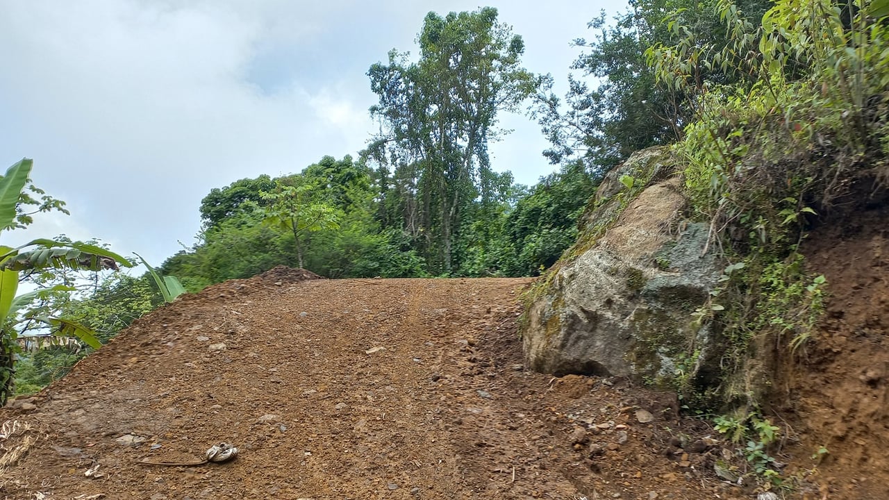 Mountain View Land with Several Building Sites and Mature Fruit Trees