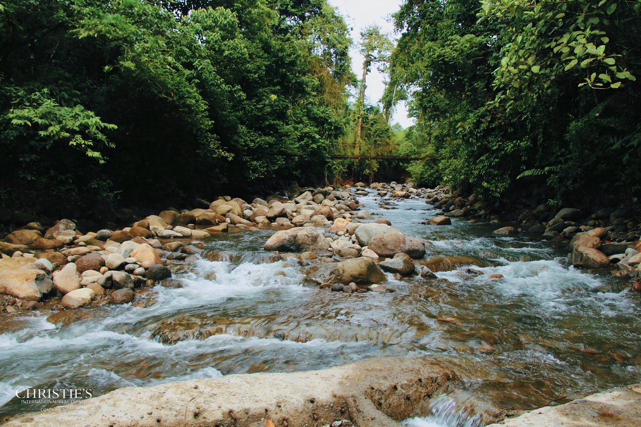 Finca Isla Rainforest Retreat – A Rare Income-Producing Paradise