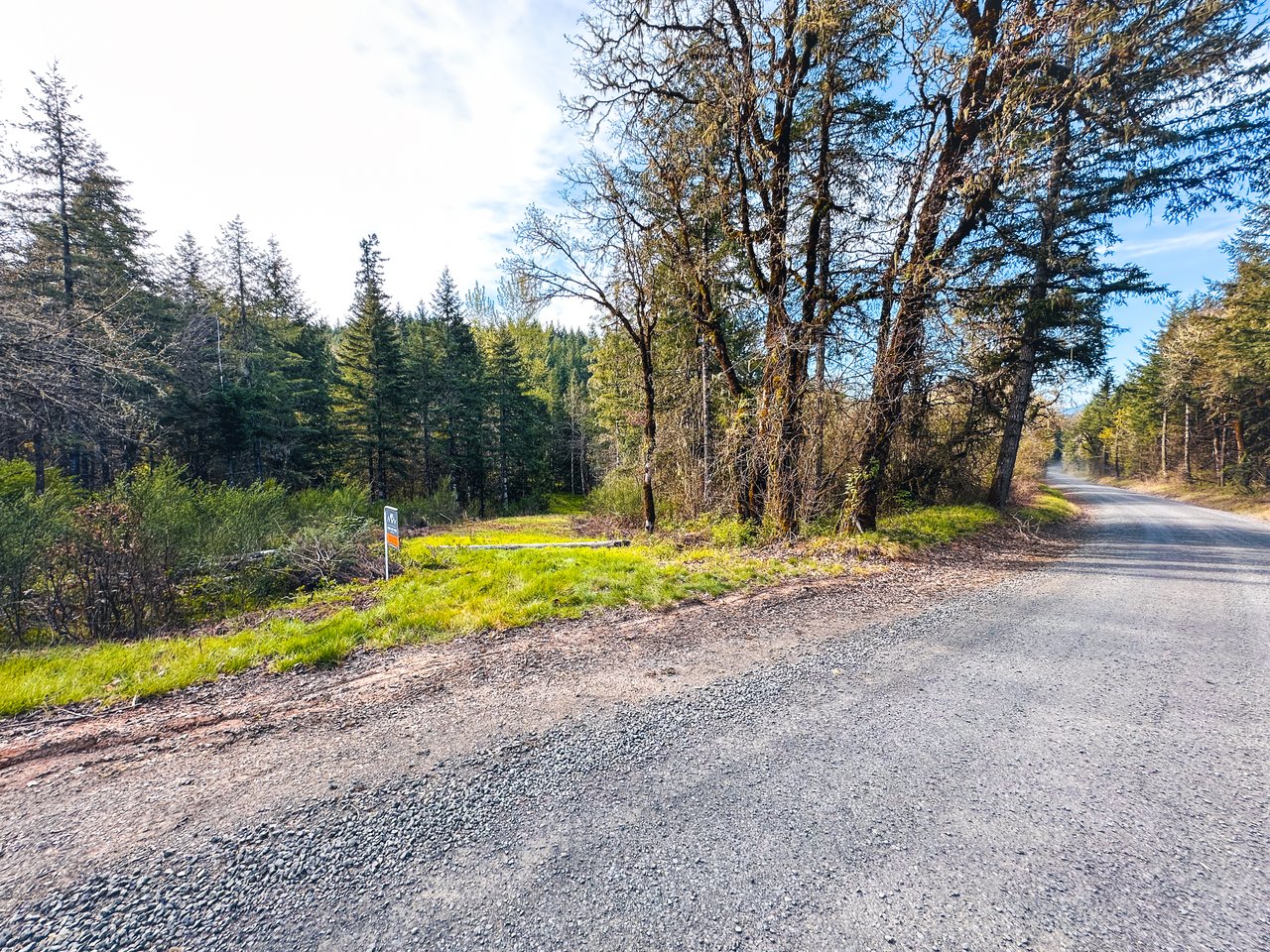 Liberty Forest Auction