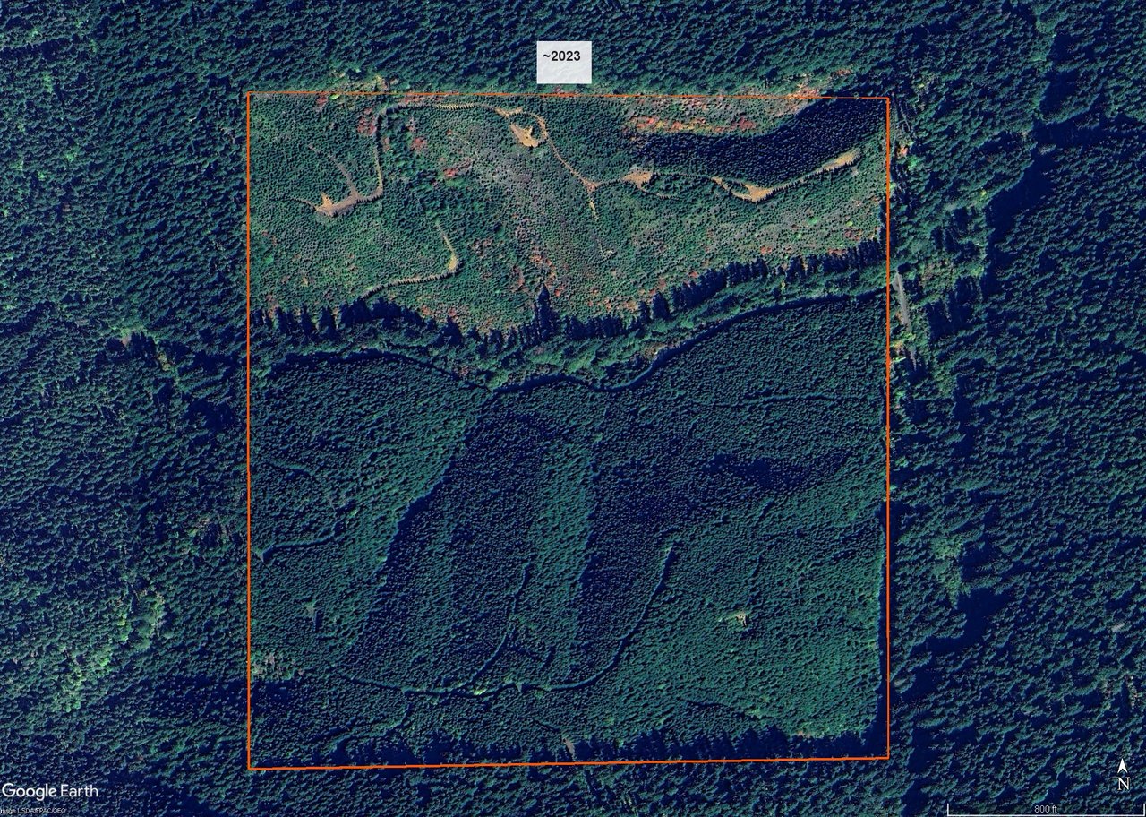 ARC Woods