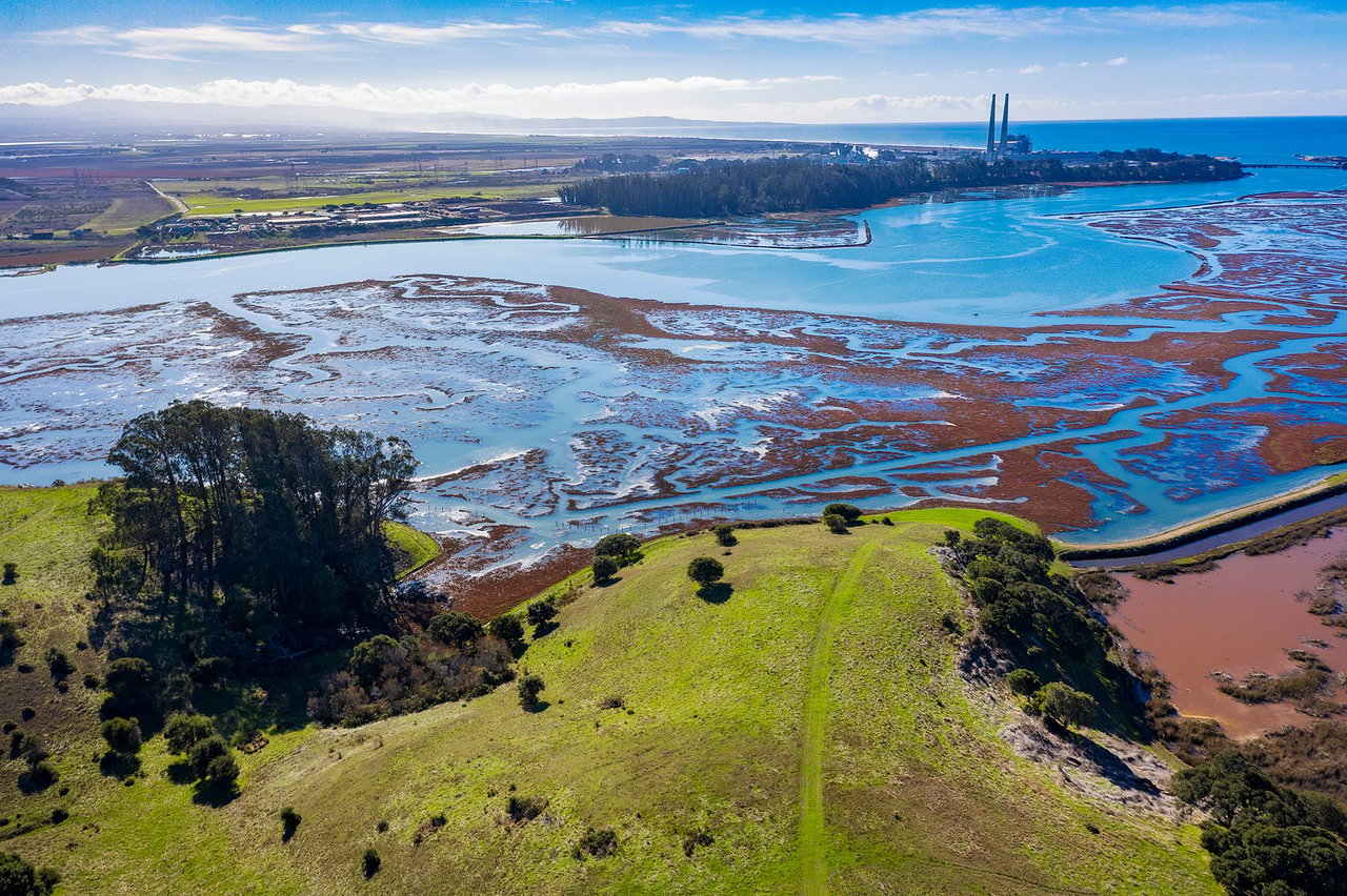 Moss Landing