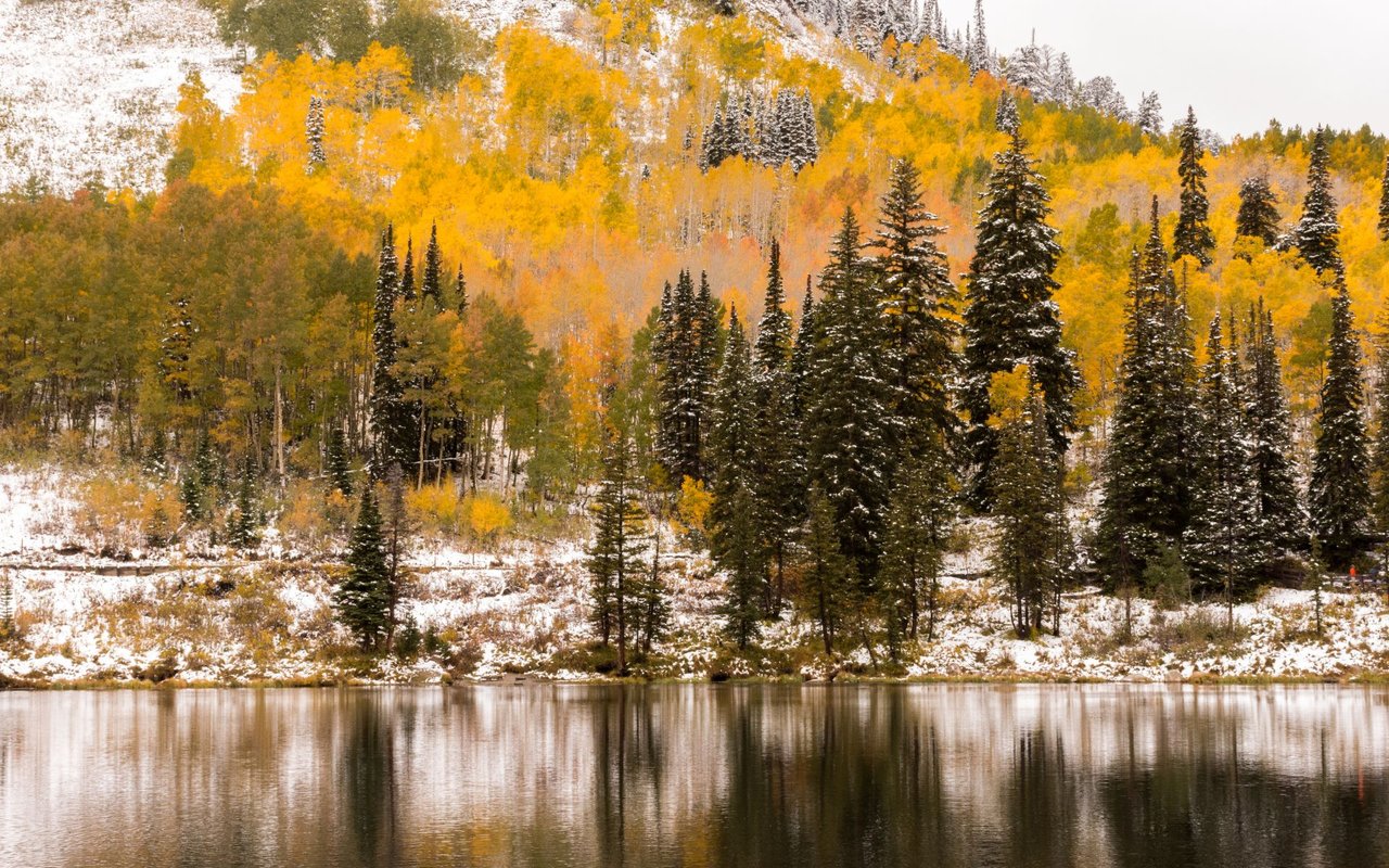 Silver Creek 