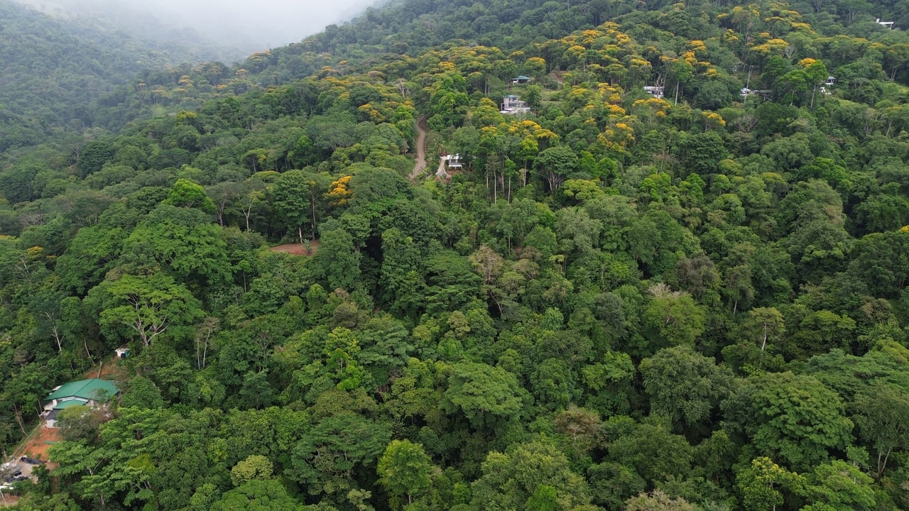 Casa Tucán, Ocean View Villa with Private Trail to River & Waterfalls