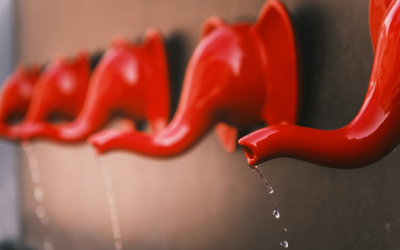 ROOF Recipient Spotlight - Lavamaeˣ