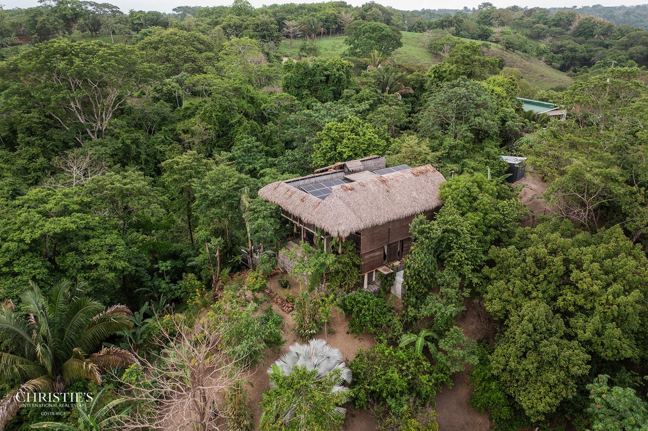 Villa Animales – Luxury Jungle Sanctuary