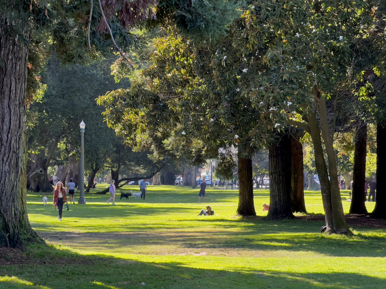 District 6 – Central North