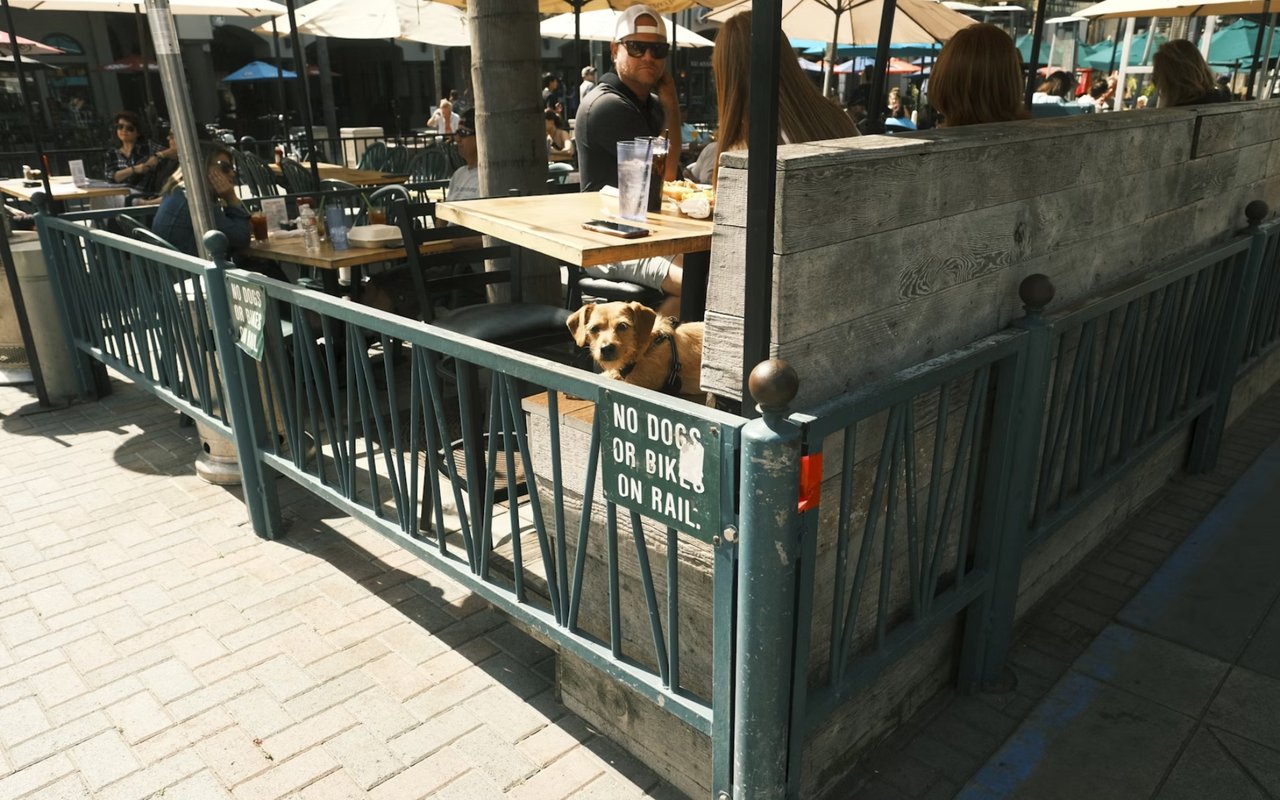 Pet-Friendly Restaurants in White Bear Lake, MN