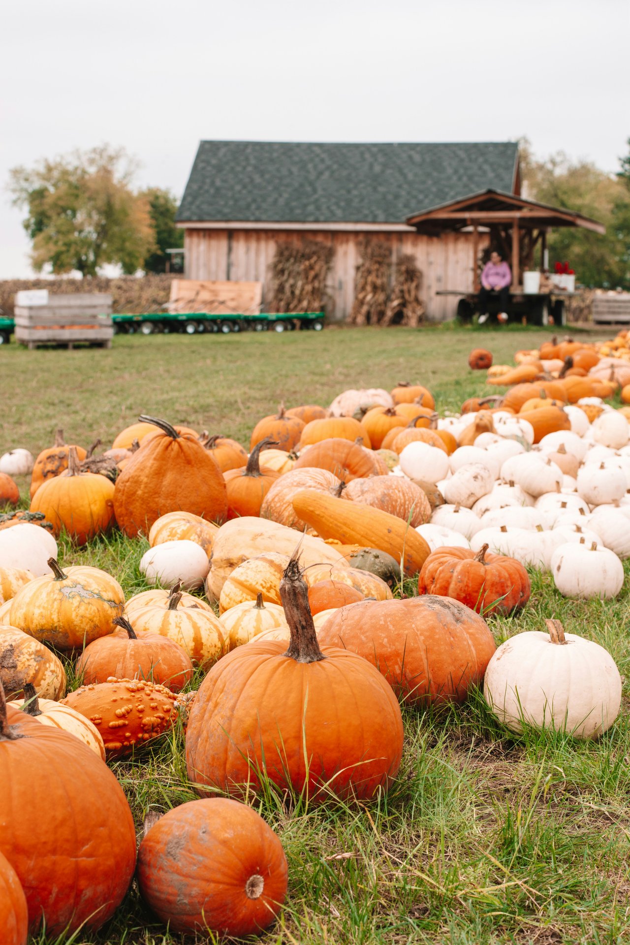 Fall Into the Season: Los Angeles’ Best Events and Activities This October 2025