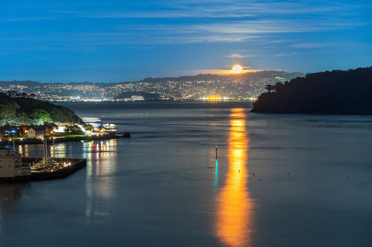 Picturesque Bay Views on Belvedere Island