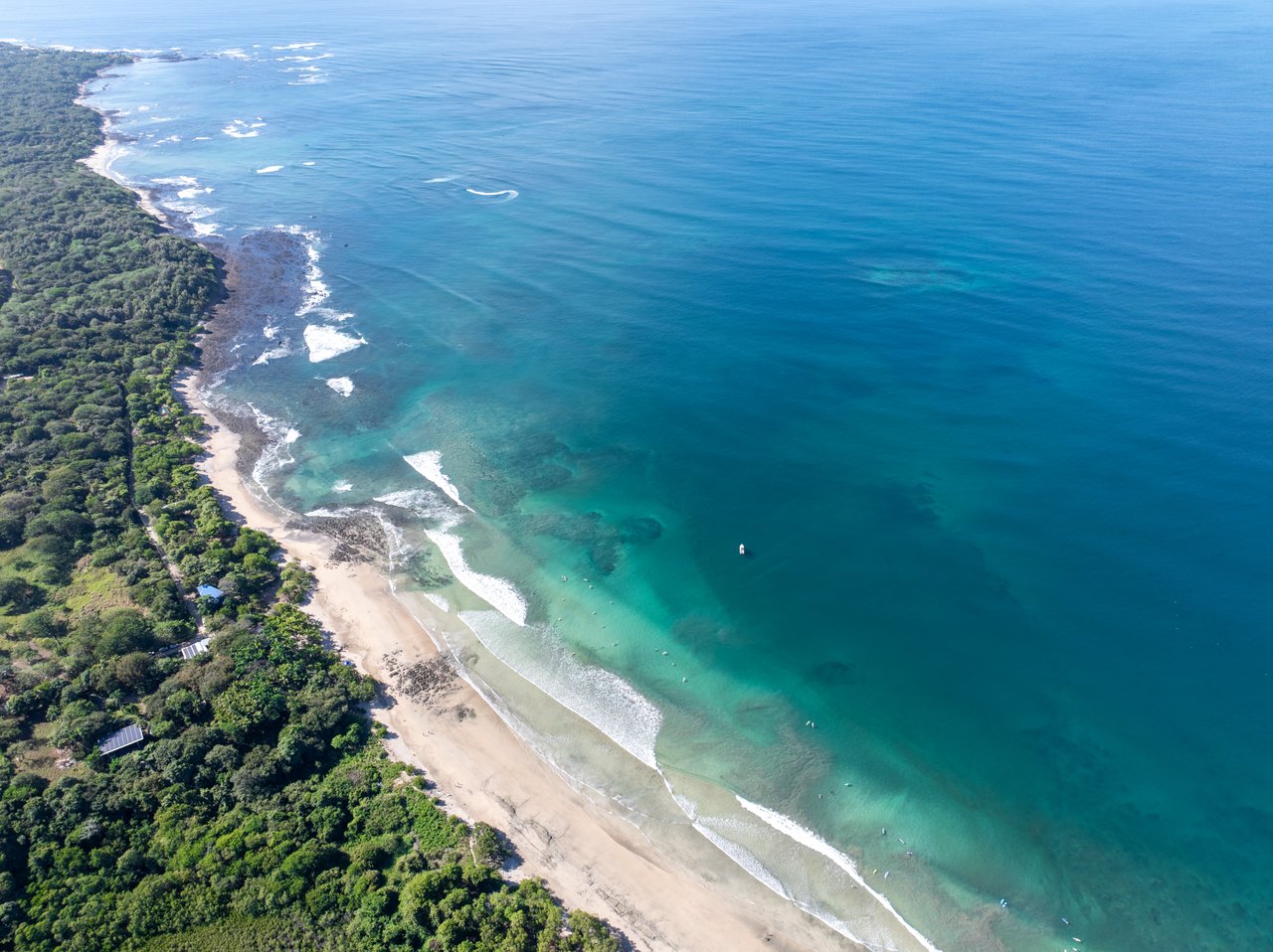 Aerial coastline with a curving sandy beach, forest, and turquoise water.