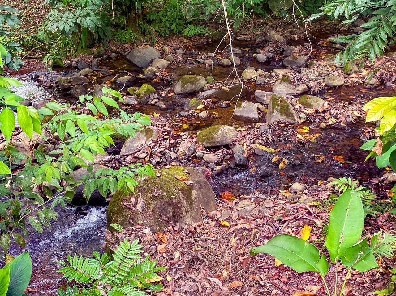 3-Bed Home on Calle Principal Ojochal with River & Jungle