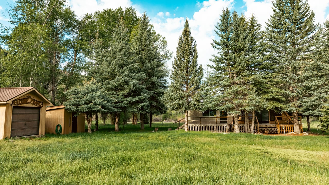 Cabin and wooden porch among tall evergreens, with a detached shed beside the grassy lawn.