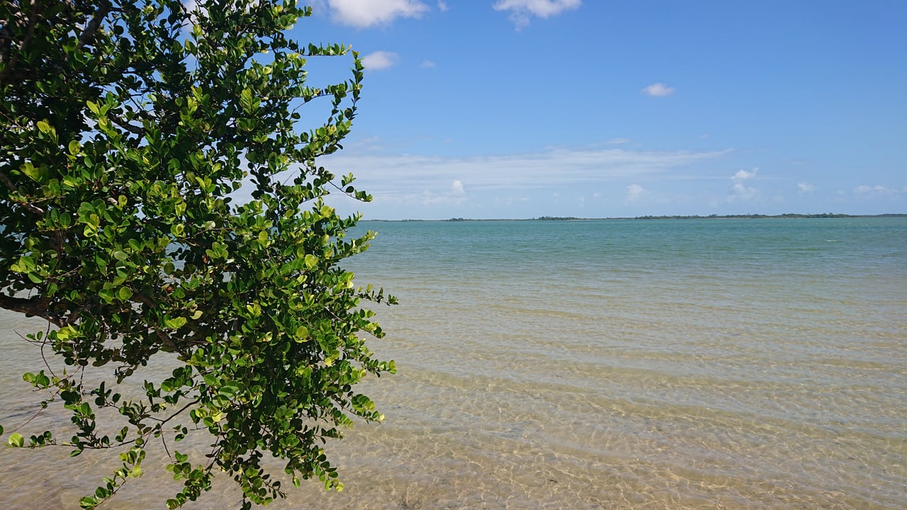 Coconut Point Belize