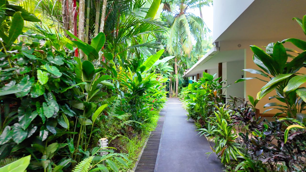 22 Unit Tropical Boutique Hotel steps from Manuel Antonio Park & Beach