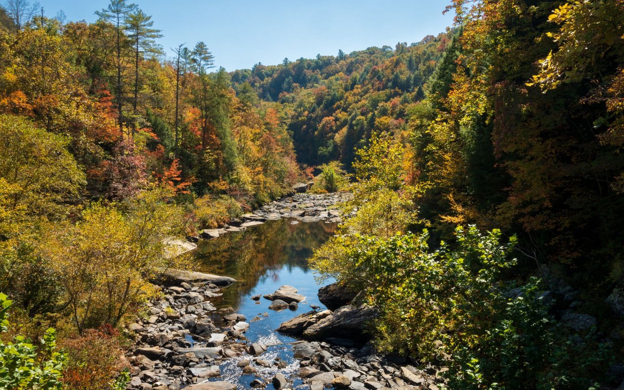 Sale Creek