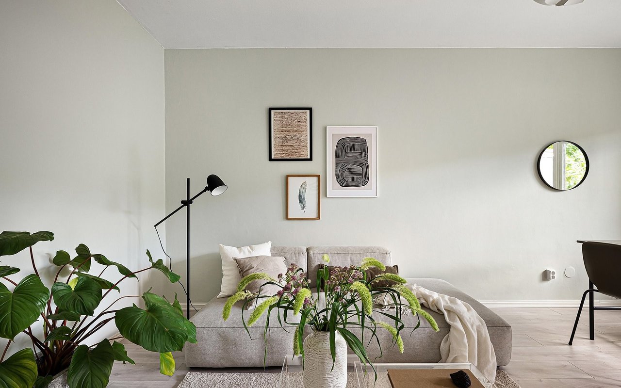 Living room with a gray sofa, leafy plants, framed art, and a black floor lamp.