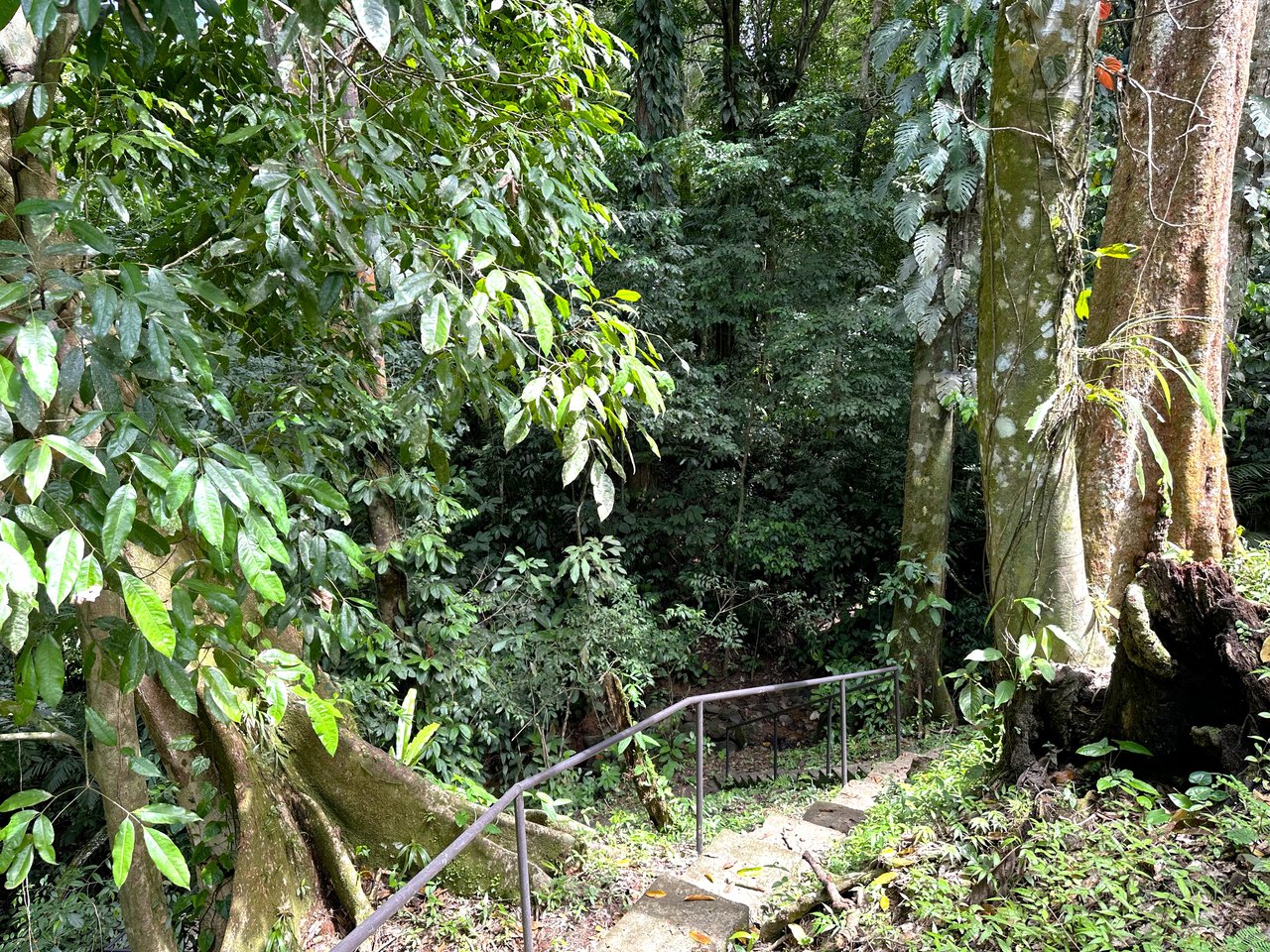 FIRE SALE! Jungle, Rivers, a Waterfall and Panoramic Ocean View