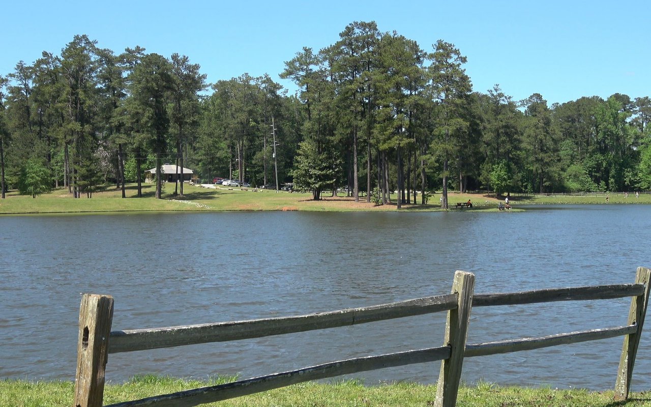 Senoia