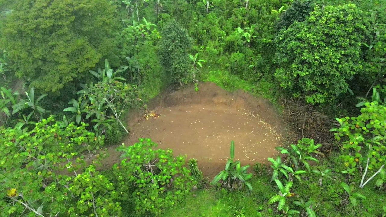 Mountain View Land with Several Building Sites and Mature Fruit Trees