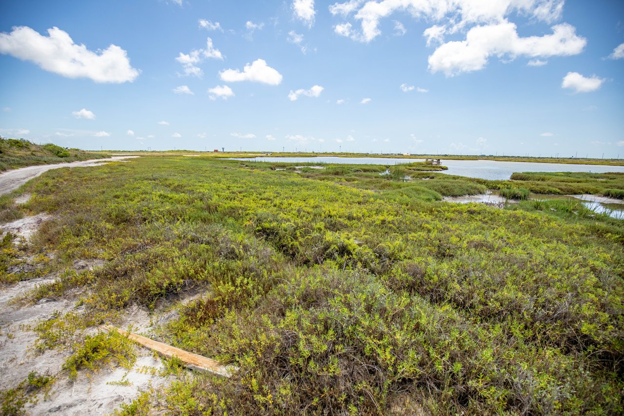 Cape Velero Drive 60 | Development Opportunity | 60± Acres | Rockport, TX