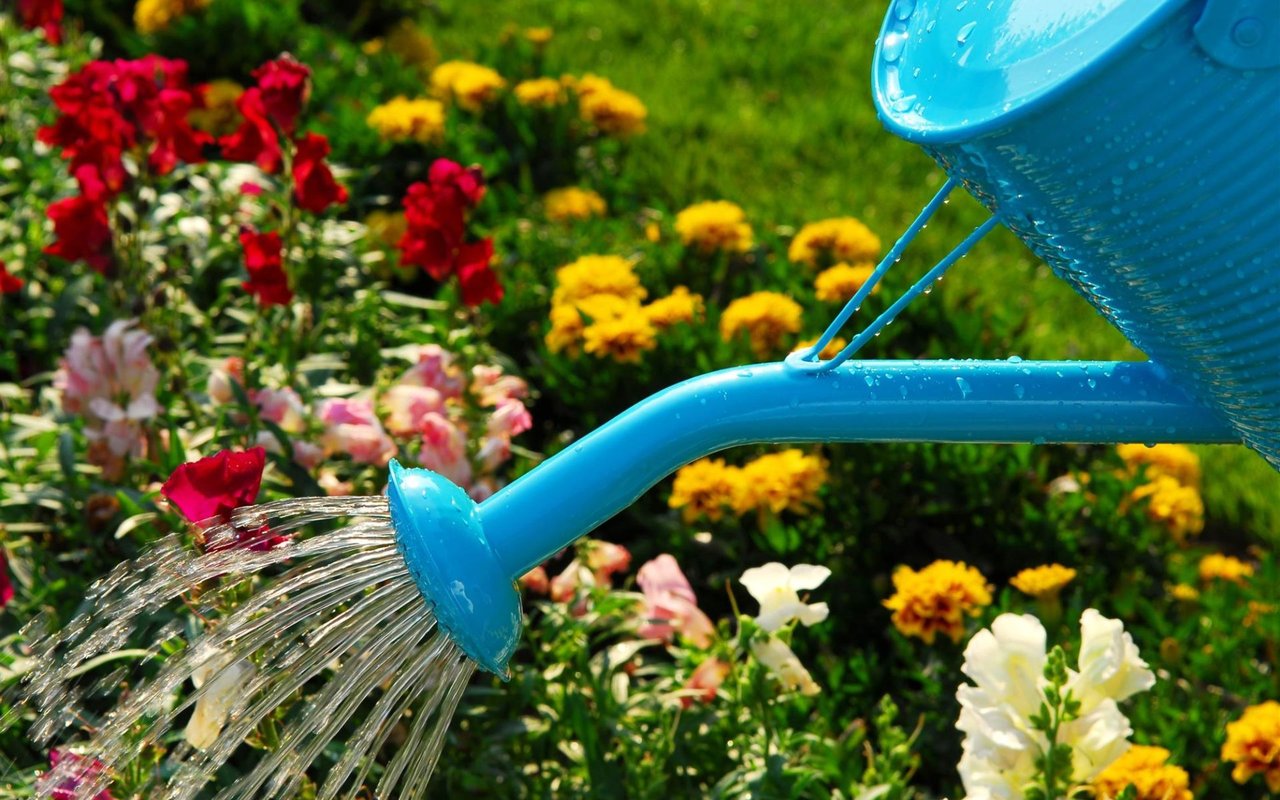 How to Garden with Flowers