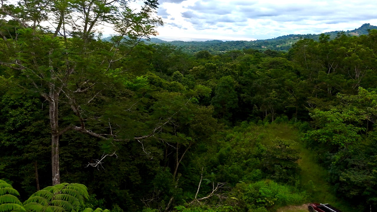 Beautiful Lot in Phase 9 Ojochal, Gated Communuity - NOW WITH LEGAL WATER