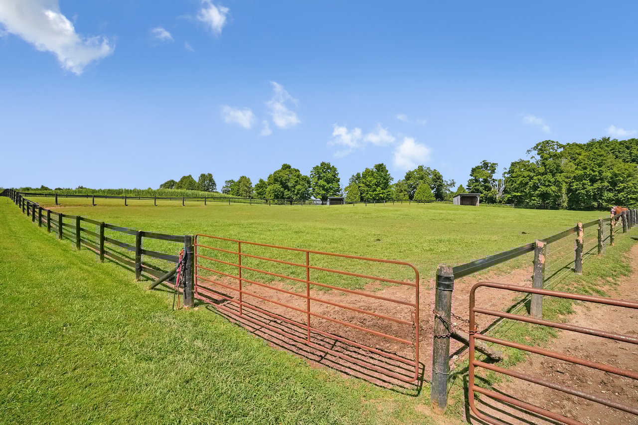 Extraordinary Equestrian Estate
