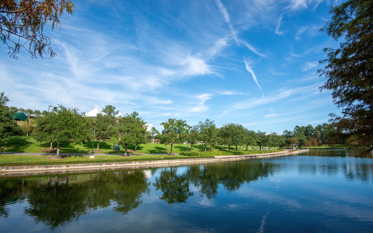 The Woodlands