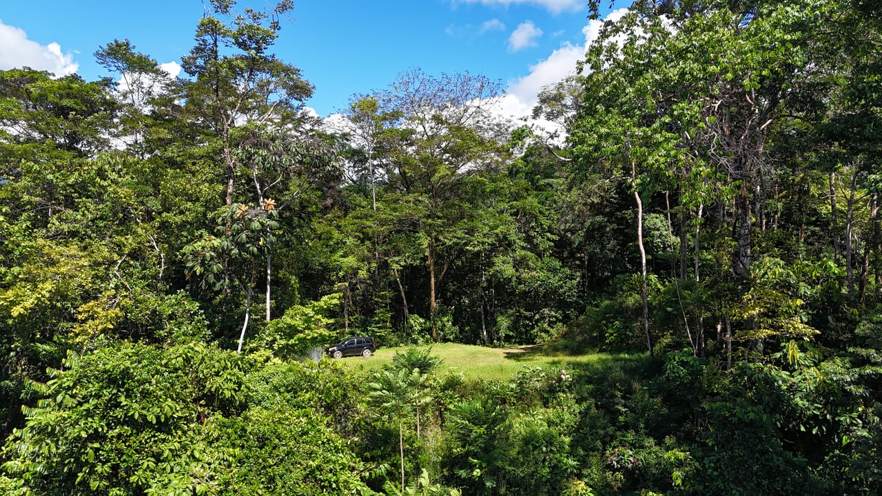 1.7 Acres Ocean View Lot with Producing Cabin in Uvita