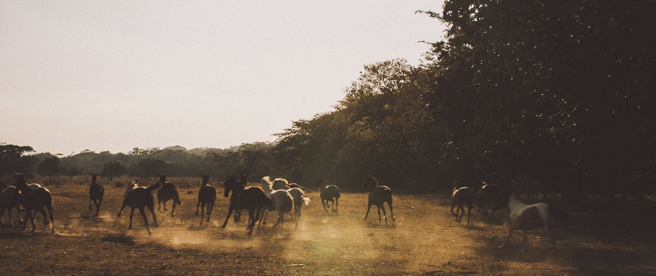  Punta Sabana & Mar Serena