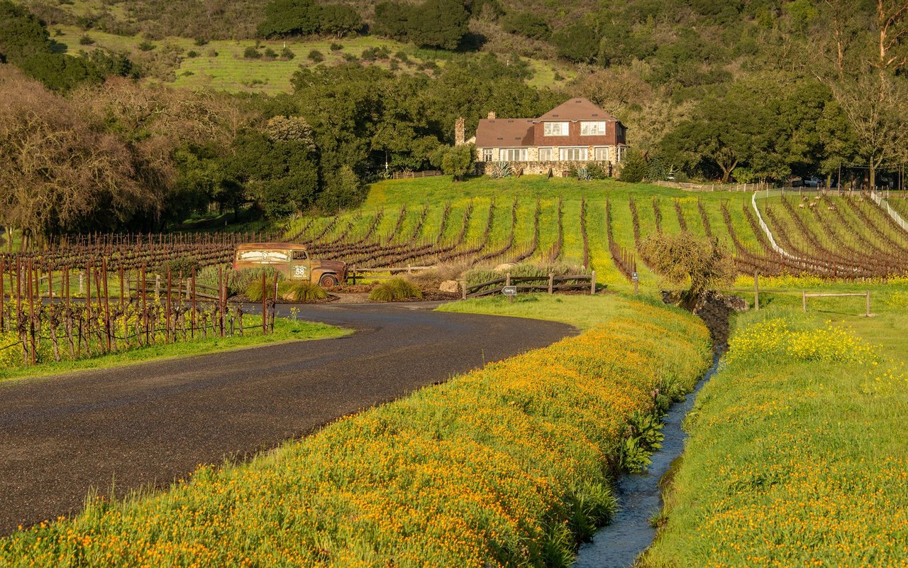 Sonoma