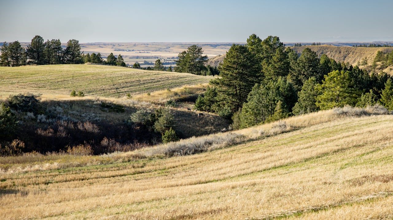 Salt Creek Ranch