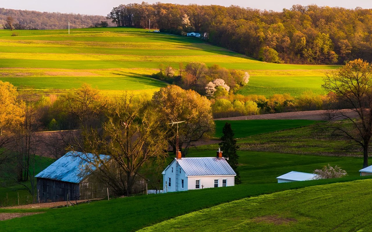 Schuylkill Township
