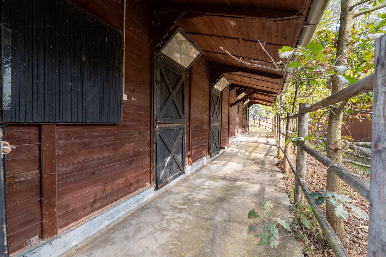 Equestrian Estate in Lavra with 13,000 m² just 800 Meters from the Beach