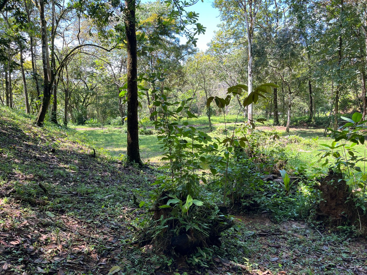 Tortuga Abajo Lot, Just before Ojochal.