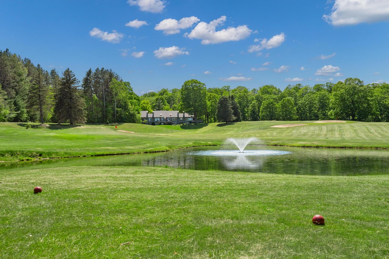 Wildwood Condo, Walloon Lake