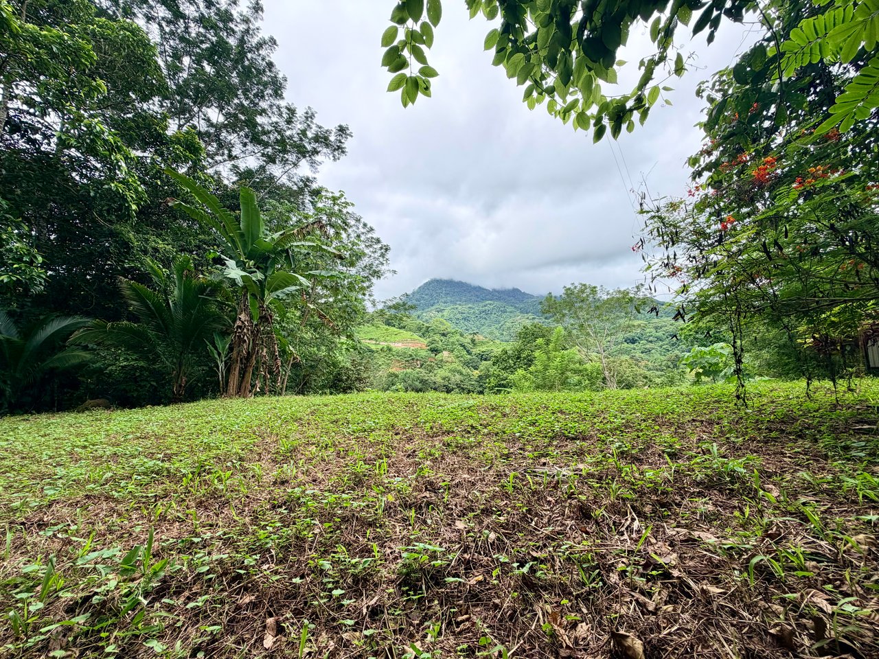 Tres Ríos Jungle Sanctuary | Ready-to-Build Lot Surrounded by Nature