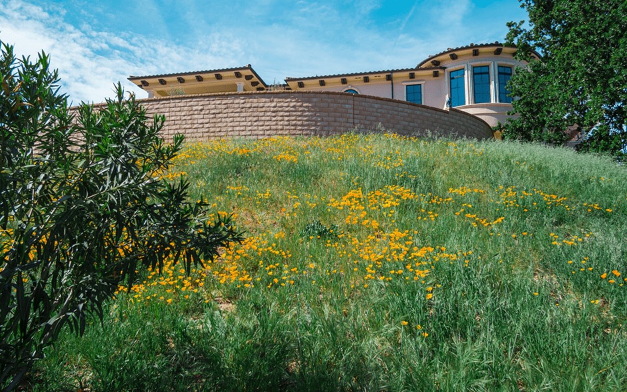 Top 5 Things to Know Before Entering The Real Estate Market Today
