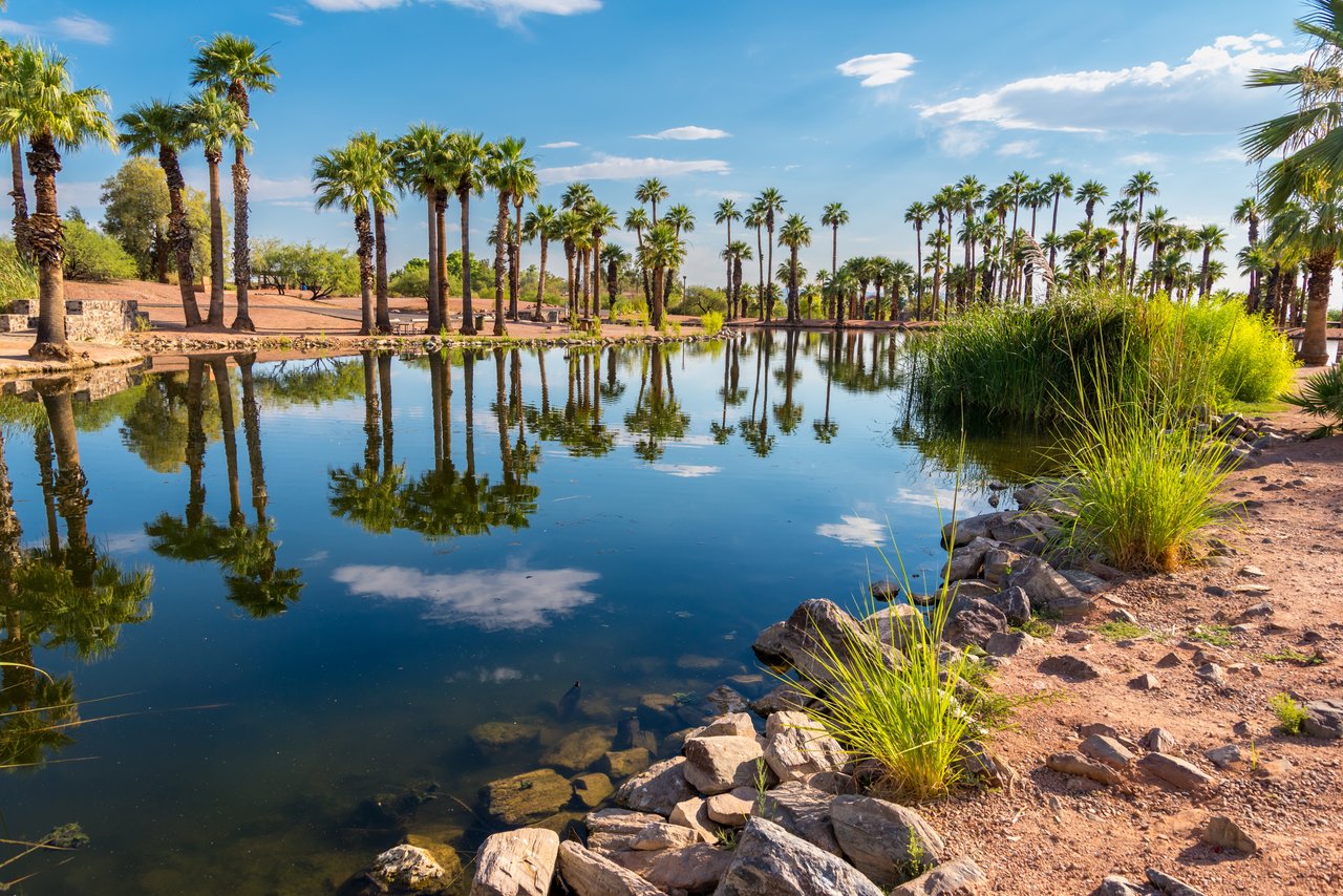 Desert Shores