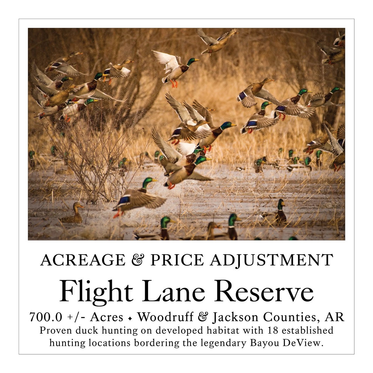 Flight Lane Reserve 