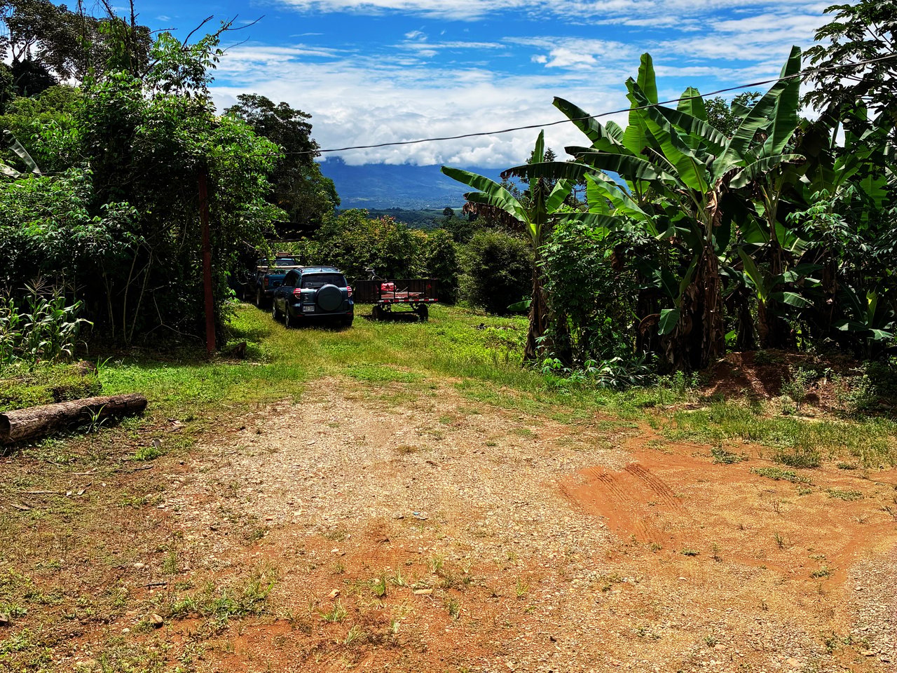 Productive Agricultural Farm with Valley Views in Cristo Rey of Platanares, Pérez Zeledón