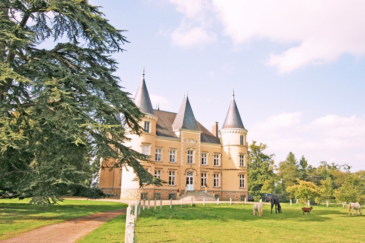 19th Century Fairytale Chateau in Loire Valley