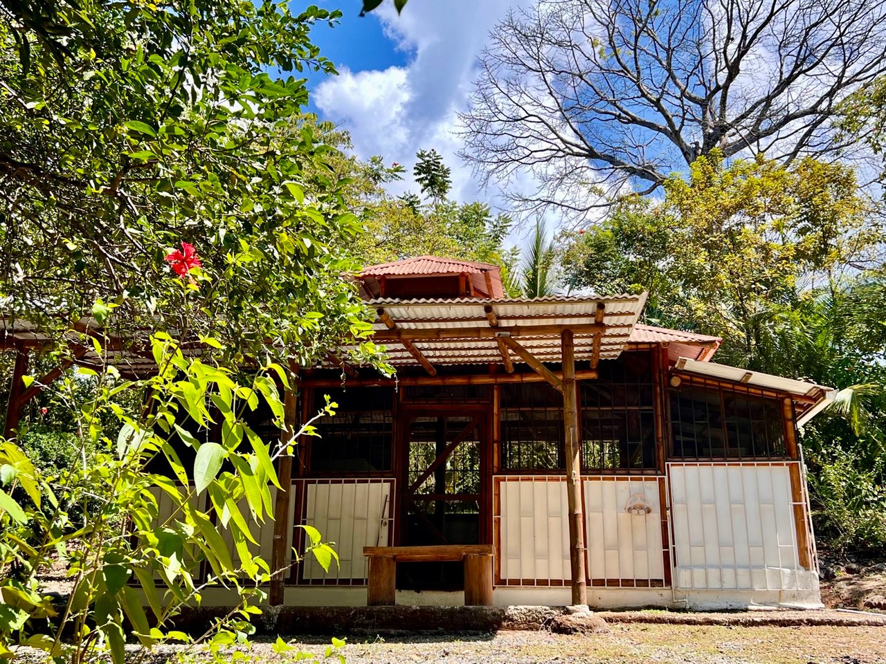 Modern Three-Bedroom Home On 6+ Acres In Ojochal