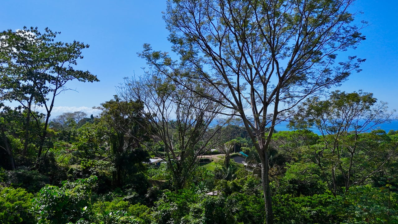 Ocean View Property in Playa Hermosa, Over 1.75 Acres