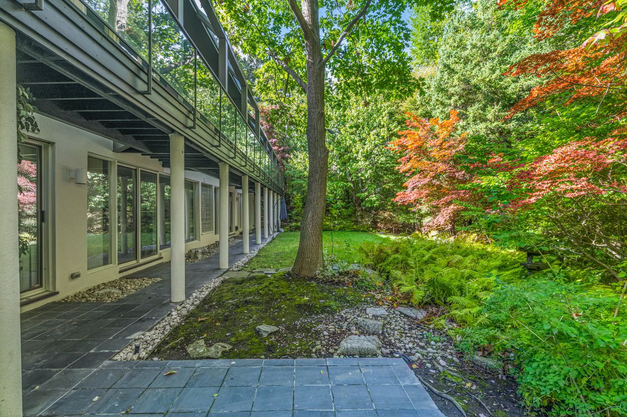 Extraordinary Forest Lot